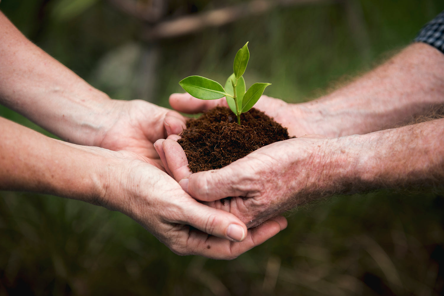 BBQ Stove sustainability pledge recycled metal zero waste two pairs of hands holding soil with a plant